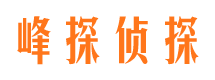 金阳侦探公司